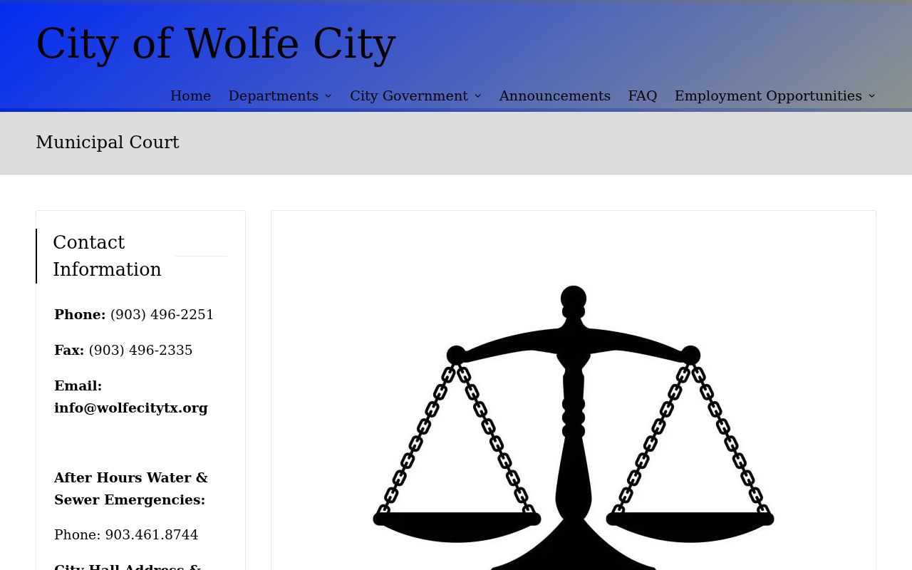 Wolfe City court docket citation response page